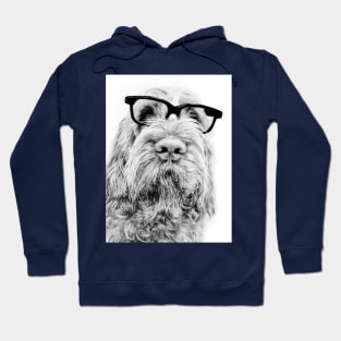 Intelligent friend Spinone by heidiannemorris Hoodie